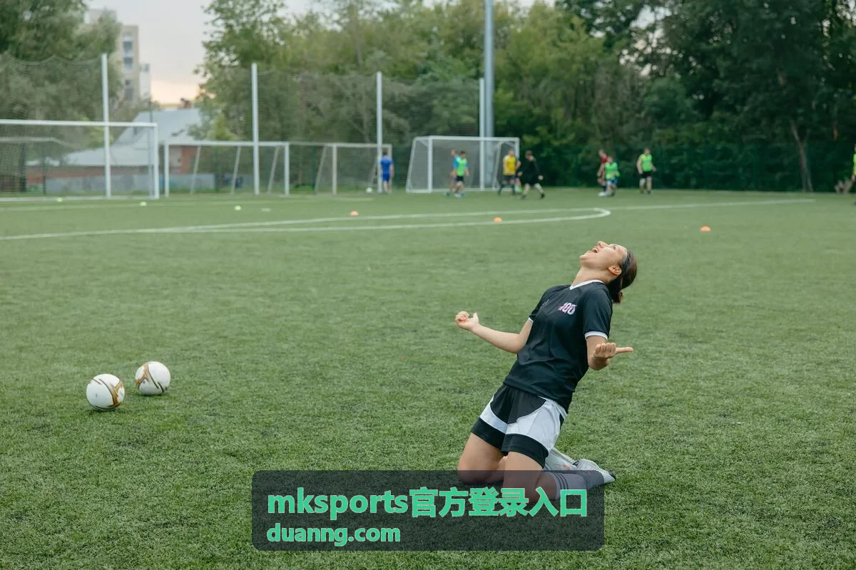 mksports官方登录入口验证码与二次校验操作封面图